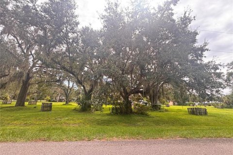Villa ou maison à vendre à Arcadia, Floride: 3 chambres, 252.6 m2 № 1901015 - photo 2