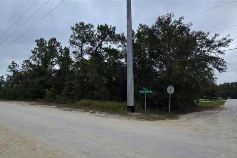 Land in Brooksville, Florida № 2206172 - photo 2