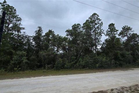 Land in Brooksville, Florida № 2206172 - photo 4
