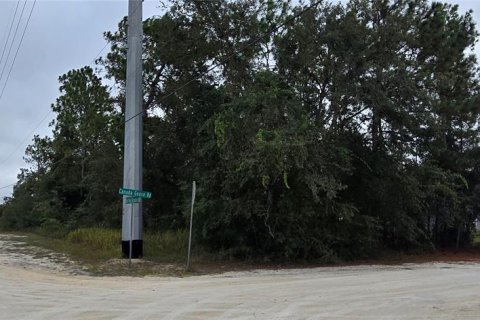 Land in Brooksville, Florida № 2206172 - photo 3