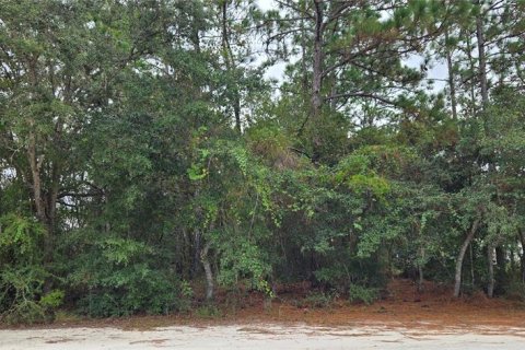 Land in Brooksville, Florida № 2206172