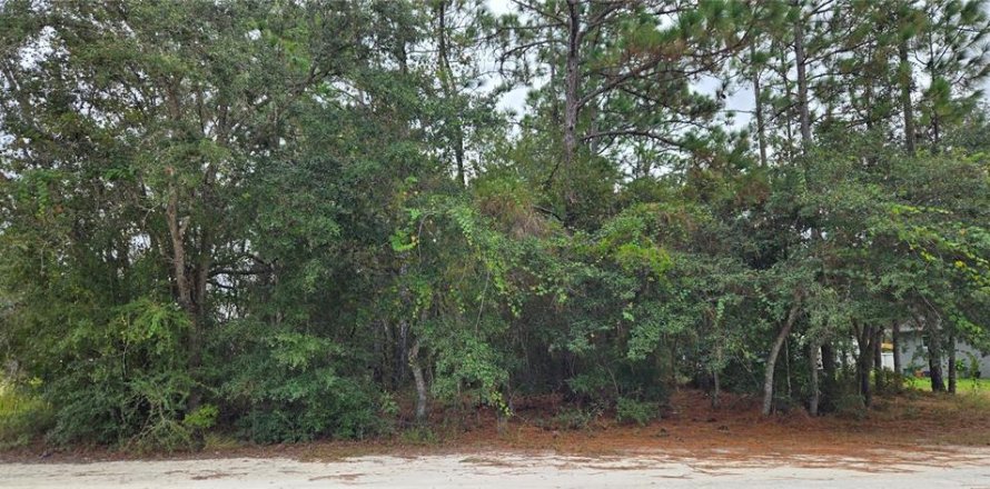 Land in Brooksville, Florida № 2206172