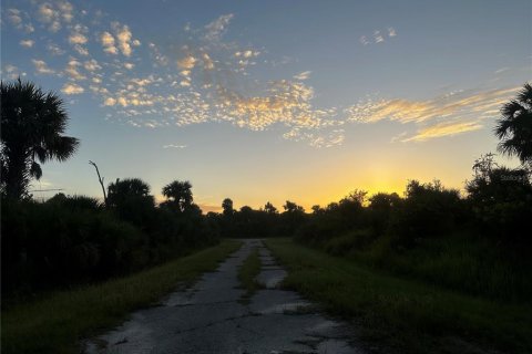 Land in North Port, Florida № 2166242 - photo 2