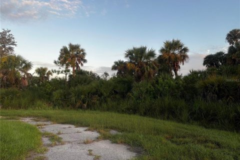 Land in North Port, Florida № 2166242 - photo 3