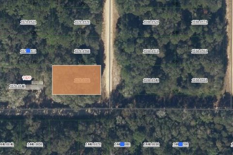 Terrain à Interlachen, Floride № 2228843