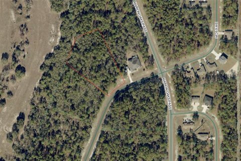 Land in Ocala, Florida № 2386024