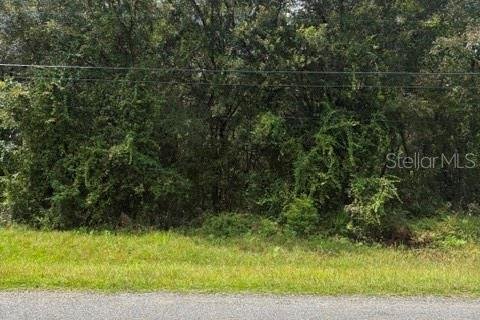 Land in Brooksville, Florida № 2402765 - photo 2