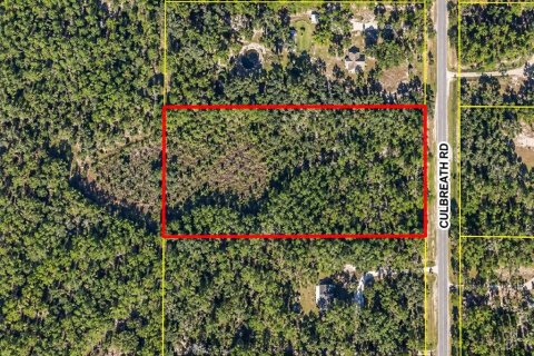 Land in Brooksville, Florida № 2402765