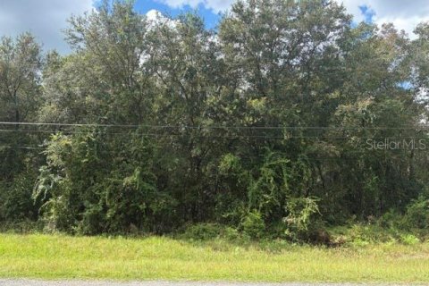 Land in Brooksville, Florida № 2402765 - photo 3