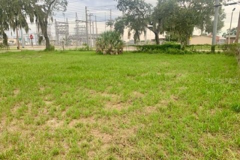 Terreno en venta en Eaton Park, Florida № 1918642 - foto 10