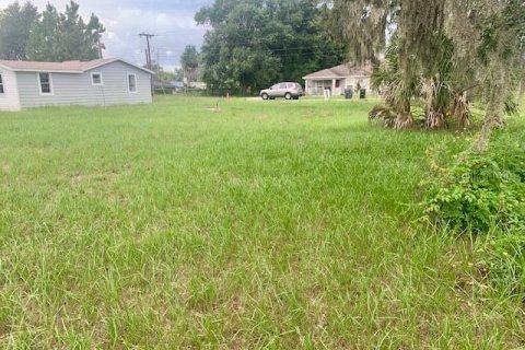 Terreno en venta en Eaton Park, Florida № 1918642 - foto 13