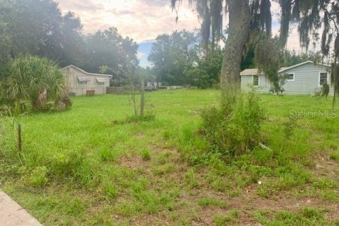 Terreno en venta en Eaton Park, Florida № 1918642 - foto 4