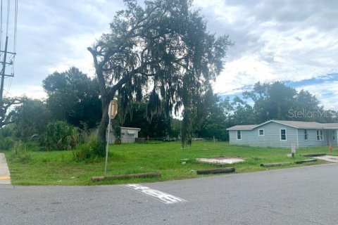 Terreno en venta en Eaton Park, Florida № 1918642 - foto 5