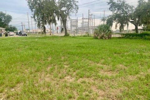 Terreno en venta en Eaton Park, Florida № 1918642 - foto 9