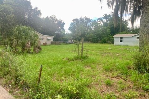 Terreno en venta en Eaton Park, Florida № 1918642 - foto 6
