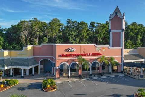 Commercial property in Kissimmee, Florida № 2394222