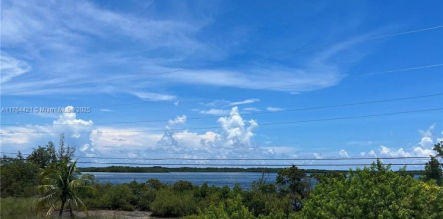 House in Key Largo, Florida 5 bedrooms, 183.57 sq.m. № 1577107