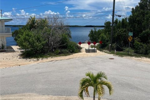 House in Key Largo, Florida 5 bedrooms, 183.57 sq.m. № 1577107 - photo 4