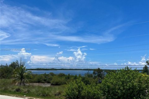House in Key Largo, Florida 5 bedrooms, 183.57 sq.m. № 1577107 - photo 3