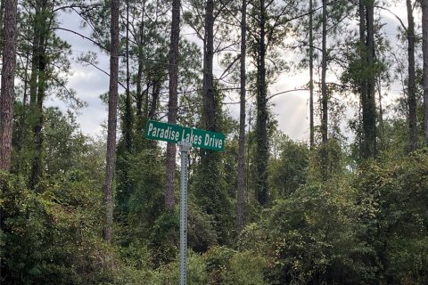 Land in Georgetown, Florida № 2163732 - photo 5