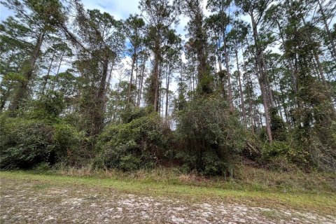 Land in Georgetown, Florida № 2163732 - photo 3
