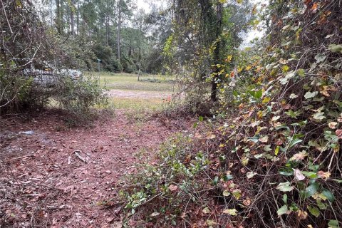 Land in Georgetown, Florida № 2163732 - photo 7