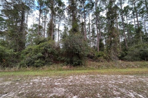 Land in Georgetown, Florida № 2163732