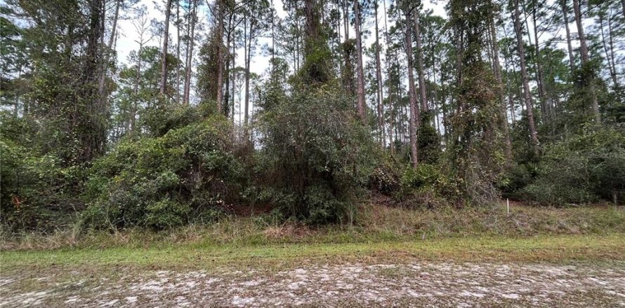 Land in Georgetown, Florida № 2163732