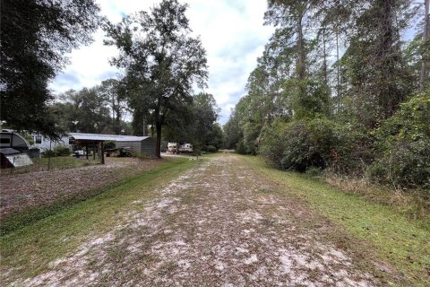 Land in Georgetown, Florida № 2163732 - photo 4