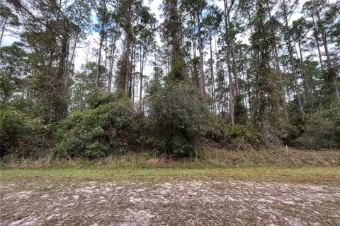 Land in Georgetown, Florida № 2163732 - photo 2