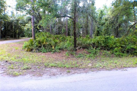 Land in Ocklawaha, Florida № 2161720 - photo 2