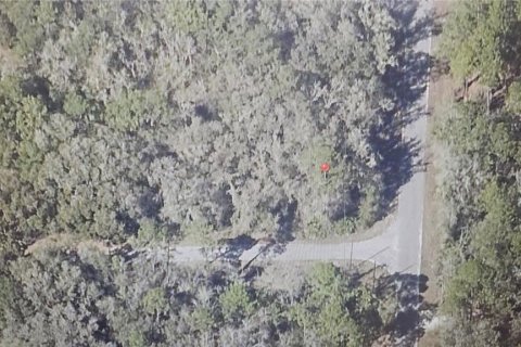 Land in Ocklawaha, Florida № 2161720 - photo 4