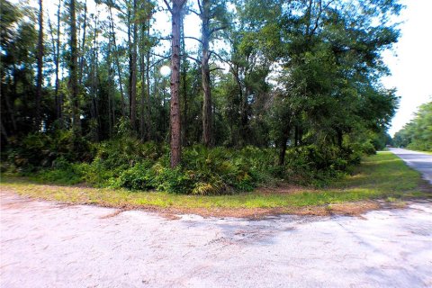 Land in Ocklawaha, Florida № 2161720