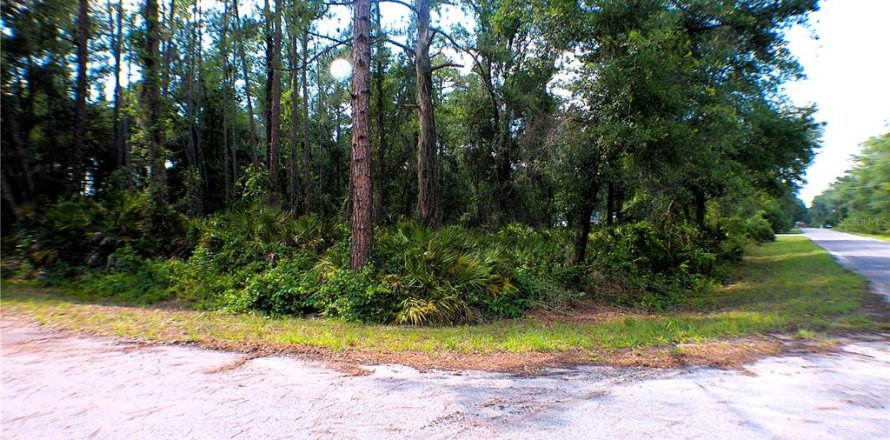 Land in Ocklawaha, Florida № 2161720