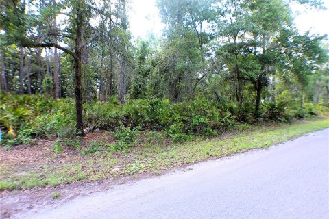 Land in Ocklawaha, Florida № 2161720 - photo 3