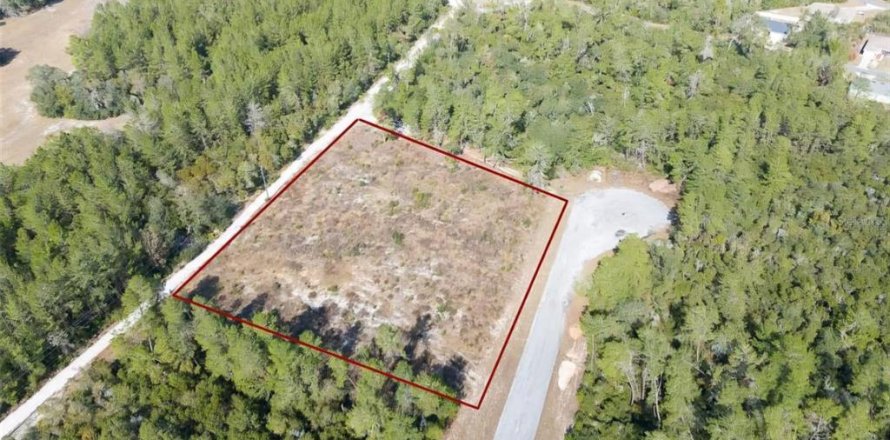 Terrain à Ocala, Floride № 1770026