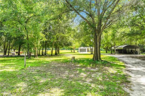 Villa ou maison à vendre à Eustis, Floride: 3 chambres, 179.39 m2 № 2312793 - photo 6