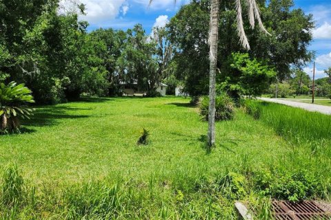 Terreno en venta en San Antonio, Florida № 1815315 - foto 1