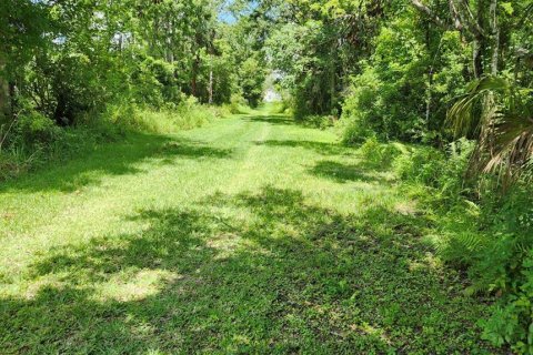 Terreno en venta en San Antonio, Florida № 1815315 - foto 2