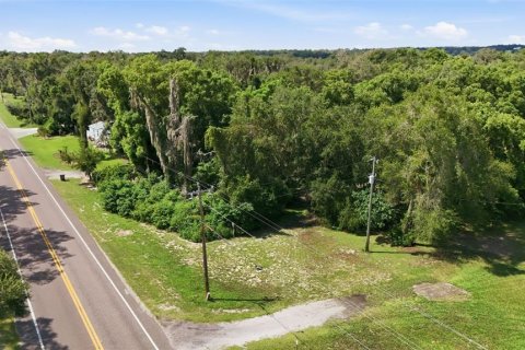 Land in Altoona, Florida № 2372950 - photo 6