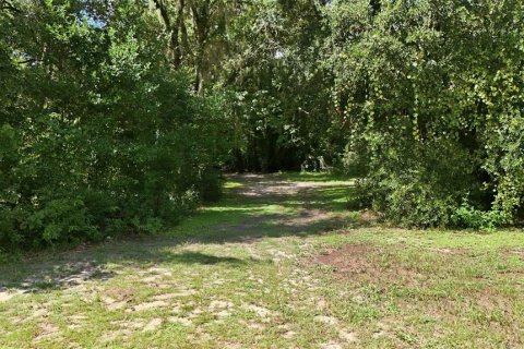 Land in Altoona, Florida № 2372950 - photo 3