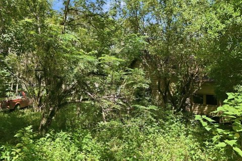 Land in Altoona, Florida № 2372950 - photo 7