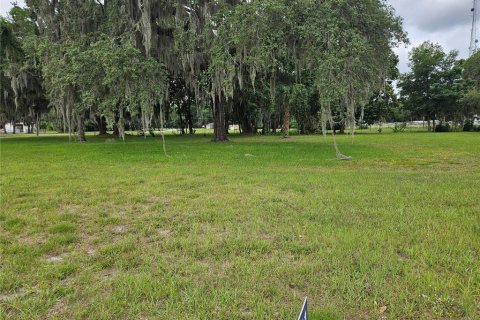Terreno en venta en Wildwood, Florida № 1193203 - foto 5