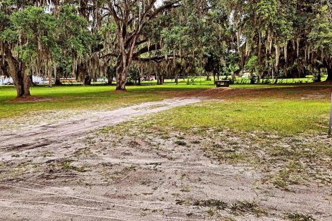 Terreno en venta en Wildwood, Florida № 1193203 - foto 2