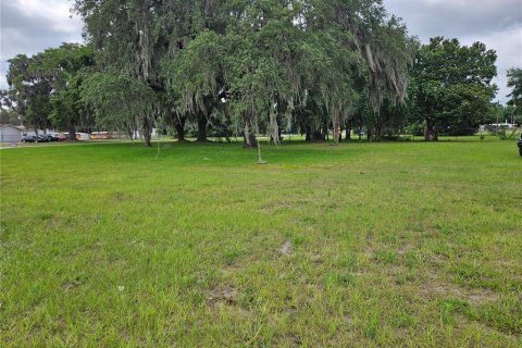Terreno en venta en Wildwood, Florida № 1193203 - foto 4