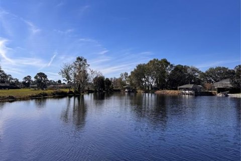 House in Tavares, Florida 4 bedrooms, 319.77 sq.m. № 1541053 - photo 10