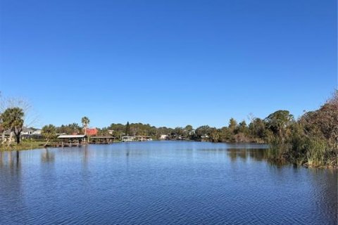 House in Tavares, Florida 4 bedrooms, 319.77 sq.m. № 1541053 - photo 9