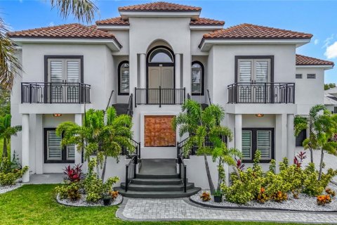 Villa ou maison à vendre à Apollo Beach, Floride: 4 chambres, 461.45 m2 № 1825283 - photo 1