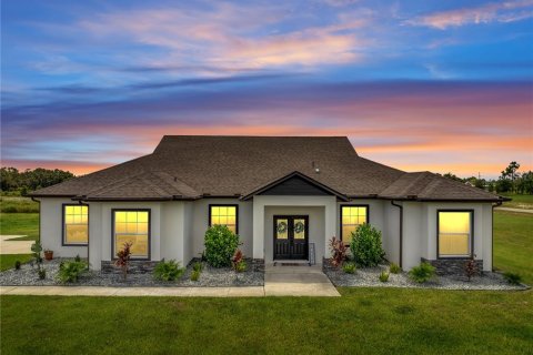 Villa ou maison à vendre à Clermont, Floride: 4 chambres, 269.04 m2 № 1901189 - photo 1