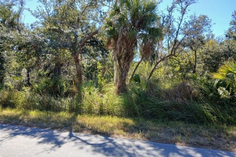Terrain à Port Charlotte, Floride № 2110995